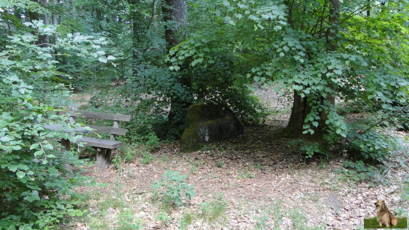 Ritterstein Nr. 131-4a Schoenlaub-Linden.JPG - Ritterstein Nr.131  Schoenlaub-Linden                               